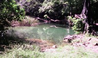 /album/hotel-villas-del-lago/img-20140626-095641-copia-jpg/